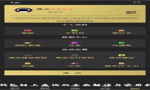 冷钱包链上查询的全面解读与实用指南