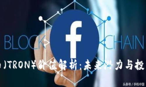 波场币（TRON）价值解析：未来潜力与投资前景