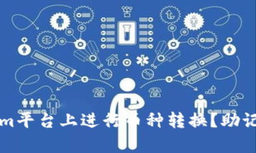 如何在Tokenim平台上进行币种转换？助记词的作用分析