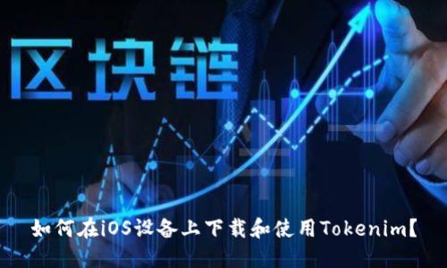 如何在iOS设备上下载和使用Tokenim？