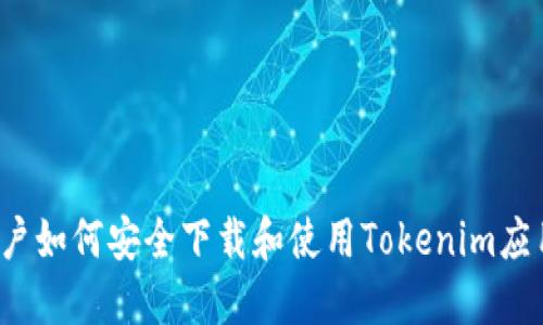 iOS用户如何安全下载和使用Tokenim应用指南