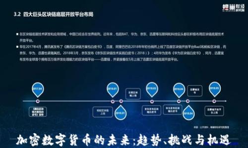 
加密数字货币的未来：趋势、挑战与机遇