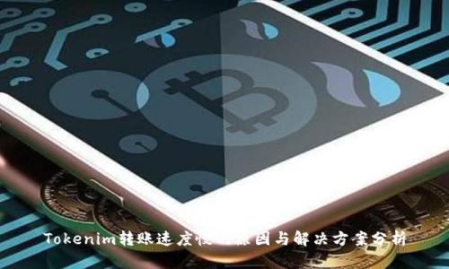 Tokenim转账速度慢的原因与解决方案分析