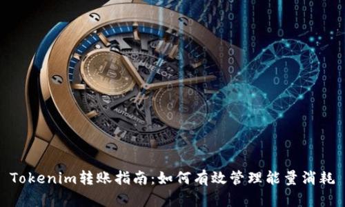 Tokenim转账指南：如何有效管理能量消耗