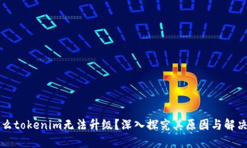 为什么tokenim无法升级？深入探究其原因与解决方案