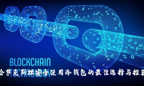 哈萨克斯坦安全使用冷钱包的最佳选择与推荐