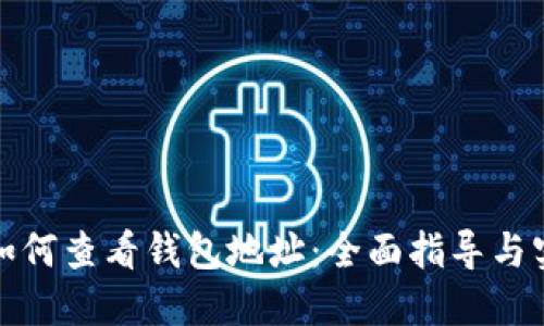 冷钱包如何查看钱包地址：全面指导与实用技巧