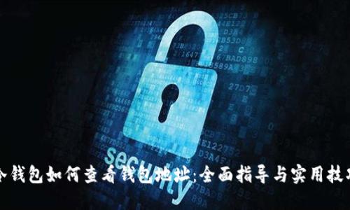 冷钱包如何查看钱包地址：全面指导与实用技巧