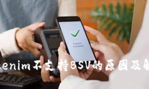 探讨Tokenim不支持BSV的原因及解决方案