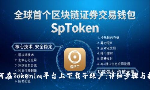 如何在Tokenim平台上下载子账户:详细步骤与指南