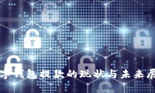数字钱包提款的现状与未来展望