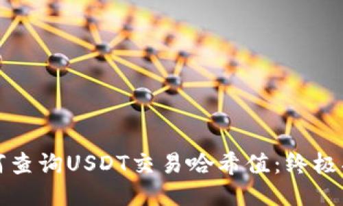 如何查询USDT交易哈希值:终极指南