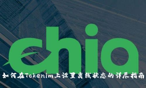 如何在Tokenim上设置离线状态的详尽指南