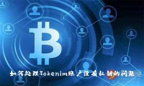 如何处理Tokenim账户没有私钥的问题
