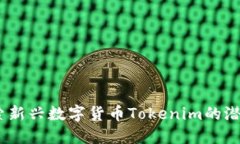 屎币：探索新兴数字货币Tokenim的潜力