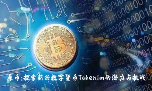 屎币:探索新兴数字货币Tokenim的潜力与挑战