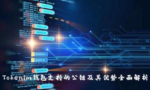 Tokenim钱包支持的公链及其优势全面解析