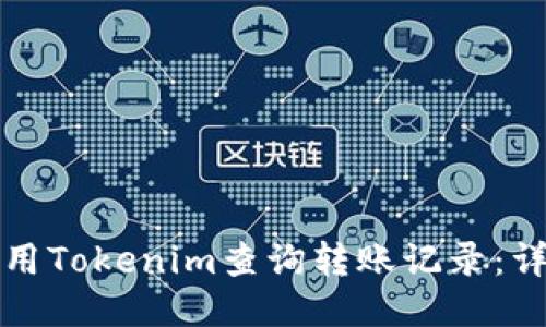 如何使用Tokenim查询转账记录:详细指南