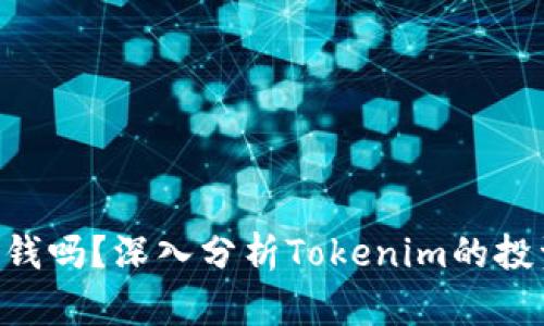 Tokenim能挣钱吗?深入分析Tokenim的投资潜力与风险
