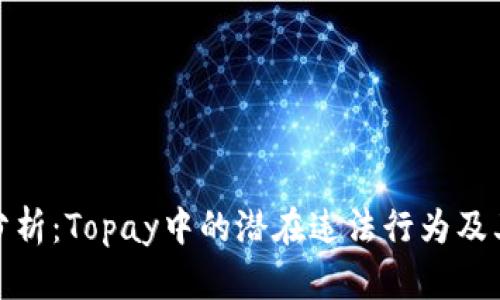 深入分析:Topay中的潜在违法行为及其影响