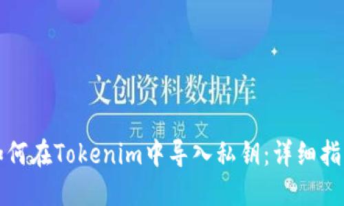 如何在Tokenim中导入私钥:详细指南