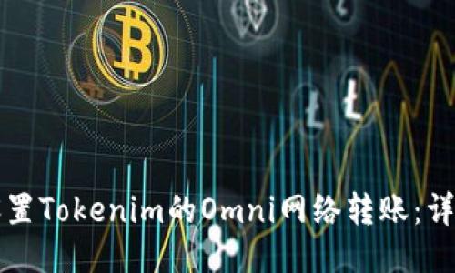 如何设置Tokenim的Omni网络转账:详细指南