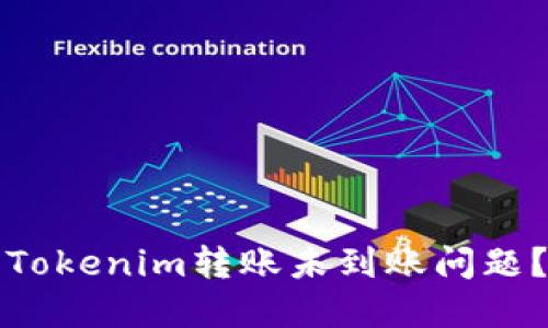 如何解决Tokenim转账未到账问题?详尽指南