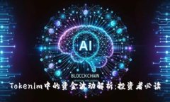 Tokenim中的资金波动解析：投资者必读