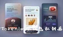 如何应对Tokenim冷钱包私钥丢失的挑战