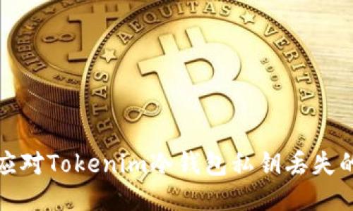 如何应对Tokenim冷钱包私钥丢失的挑战