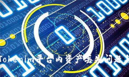 如何解决Tokenim平台内资产丢失问题与安全建议