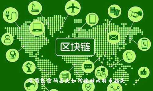 冷钱包密码丢失如何挽回比特币损失