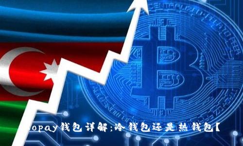 Xopay钱包详解:冷钱包还是热钱包?