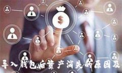   Tokenim导入钱包后资产消失的原因及解