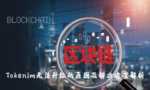 Tokenim无法升级的原因及解决方案解析