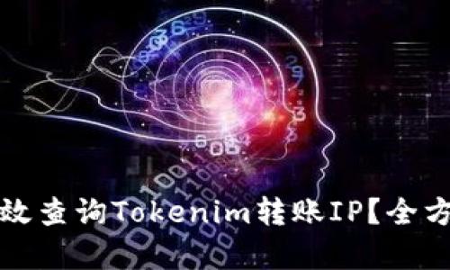 如何有效查询Tokenim转账IP?全方位指南