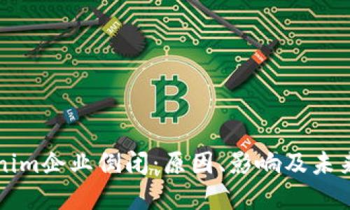Tokenim企业倒闭:原因、影响及未来展望