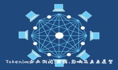 Tokenim企业倒闭：原因、影响及未来展
