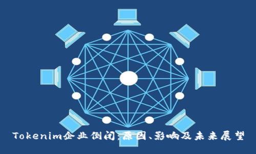 Tokenim企业倒闭:原因、影响及未来展望