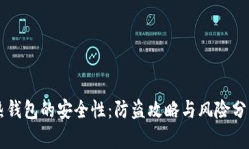 热钱包的安全性:防盗攻略与风险分析