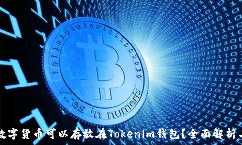 哪些数字货币可以存放在Tokenim钱包?全面解析与推荐