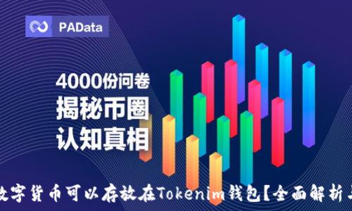 哪些数字货币可以存放在Tokenim钱包?全面解析与推荐