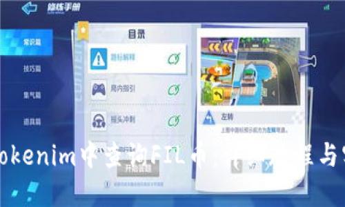 如何在Tokenim中查询FIL币:详细教程与实用指南