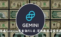 如何在Tokenim中查询FIL币：详细教程与