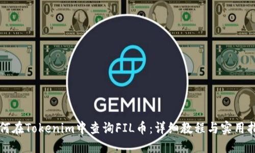 如何在Tokenim中查询FIL币:详细教程与实用指南