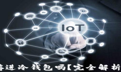 USDT可以存进冷钱包吗?完全解析与安全指南