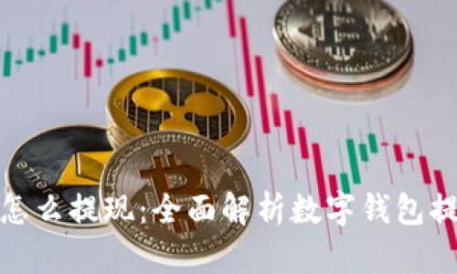 数字钱包的钱怎么提现:全面解析数字钱包提现流程与技巧