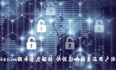 Tokenim提币速度解析：快慢影响因素及