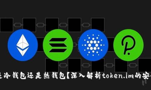 token.im是冷钱包还是热钱包?深入解析token.im的安全性与特点
