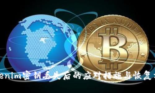 Tokenim密钥丢失后的应对措施与恢复方法